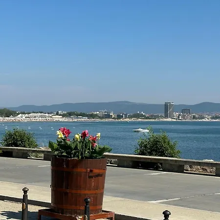 아파트 One Bedroom Private Paradiso B 501 네세부르