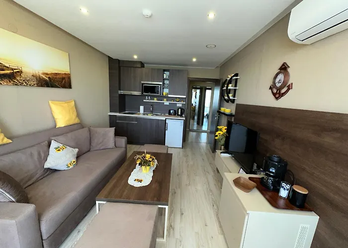 One Bedroom Private Paradiso B 501 Apartment